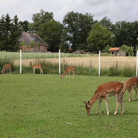 Gaeste Und Maas